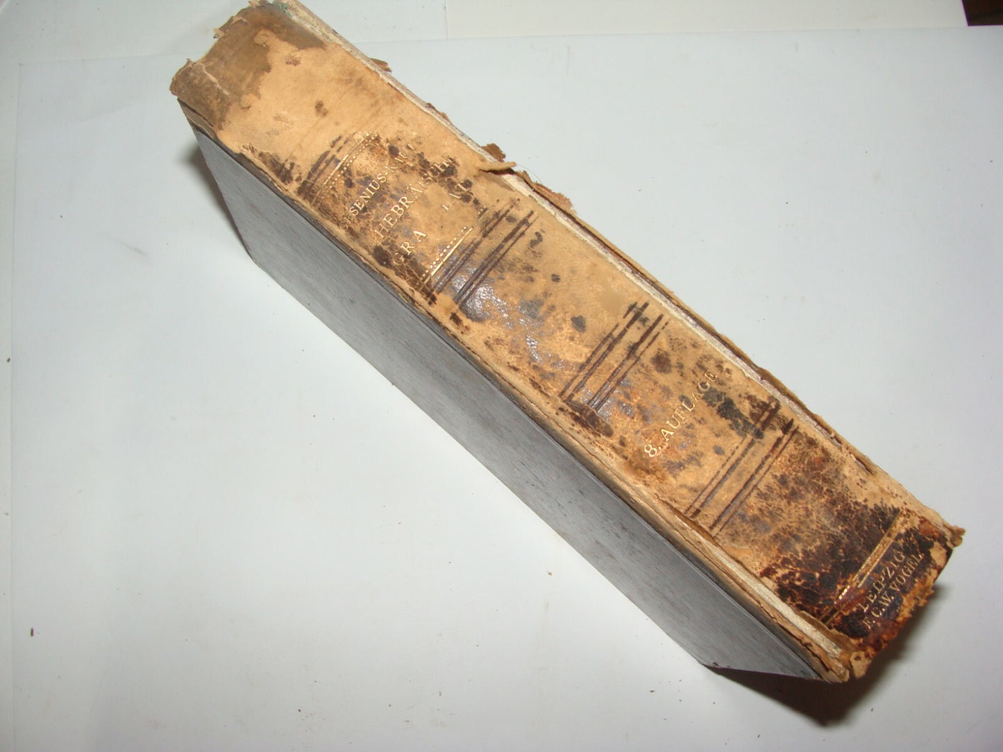 Germany Jewish Judaica Antique 1909 Wilhelm Gesenius' Grammatik Hebrew Gemran