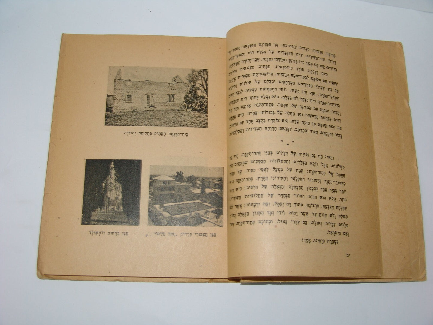 Book Jewish palestine israel Arab Petah Tikva 1921 Riots Memorial Hebrew