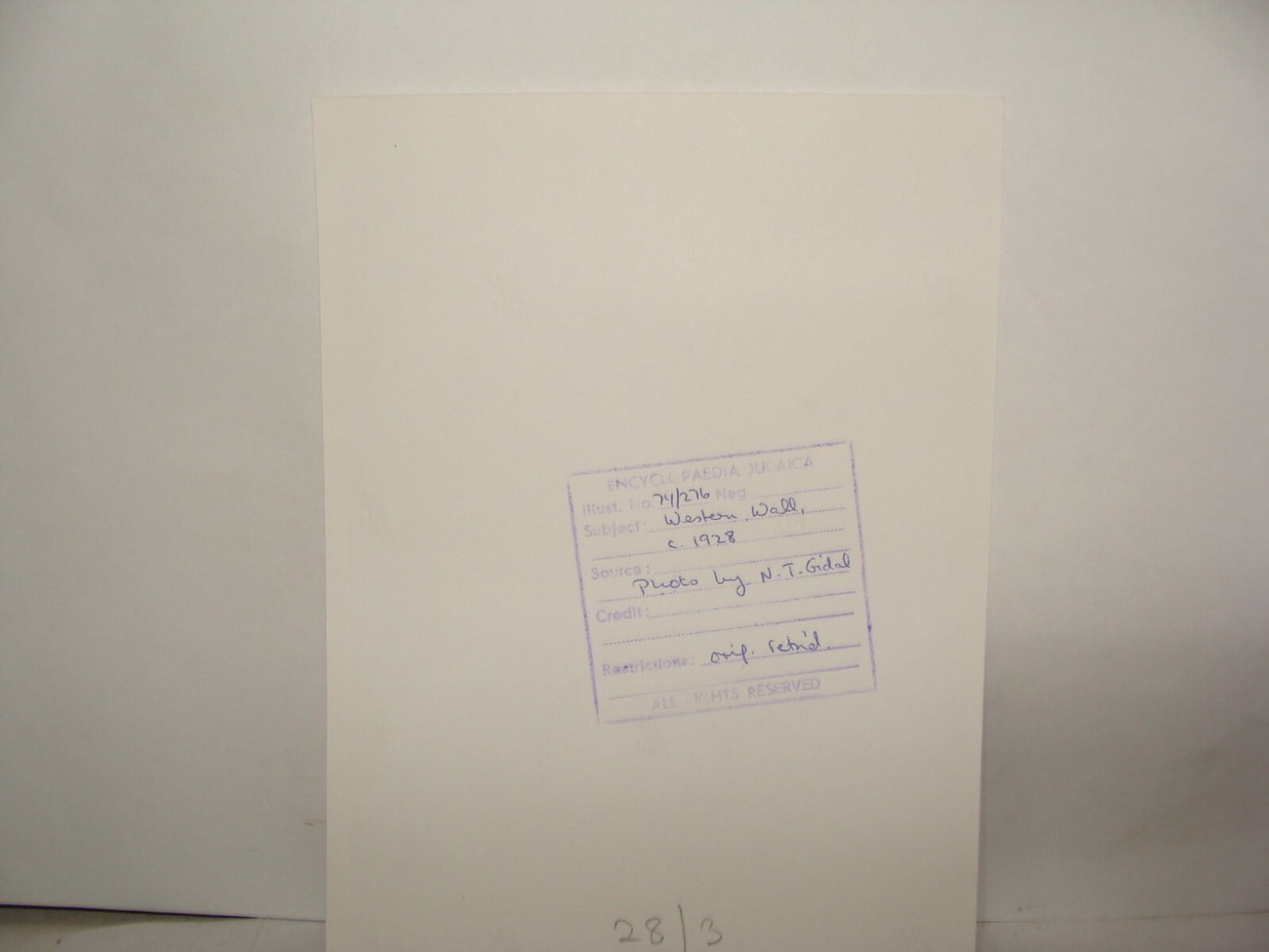 Photo Print, Jewish Judaica Palestine Israel Jerusalem 1920s Western Wall