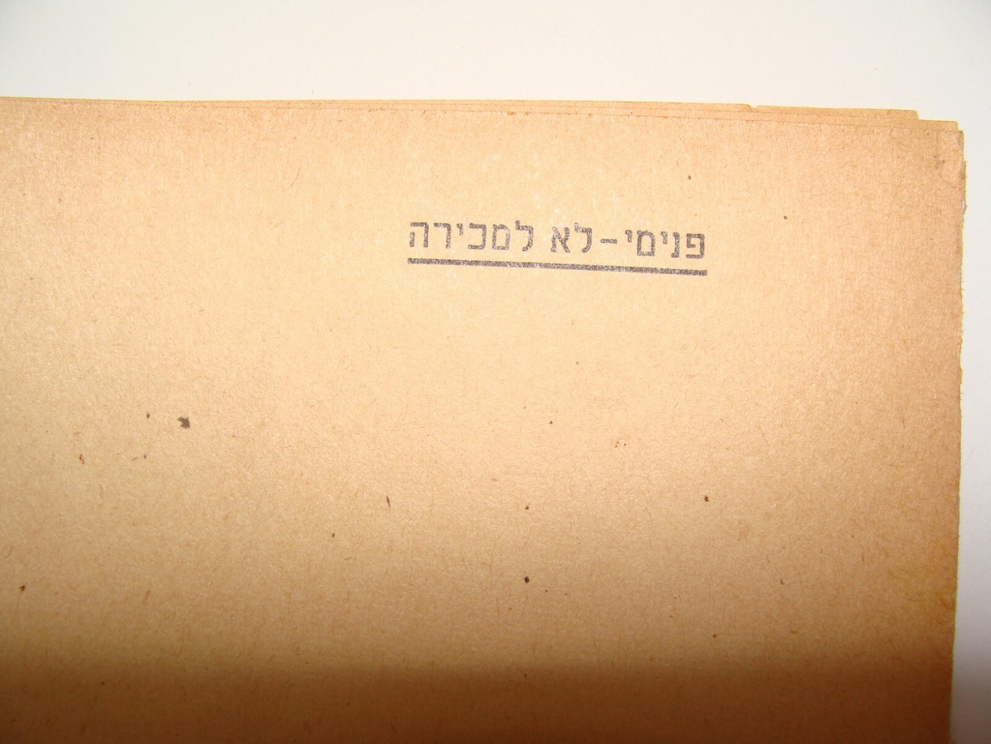 Booklet Palestine RARE David Ben Gurion 1944 Jewish Hebrew Zionist State Israel