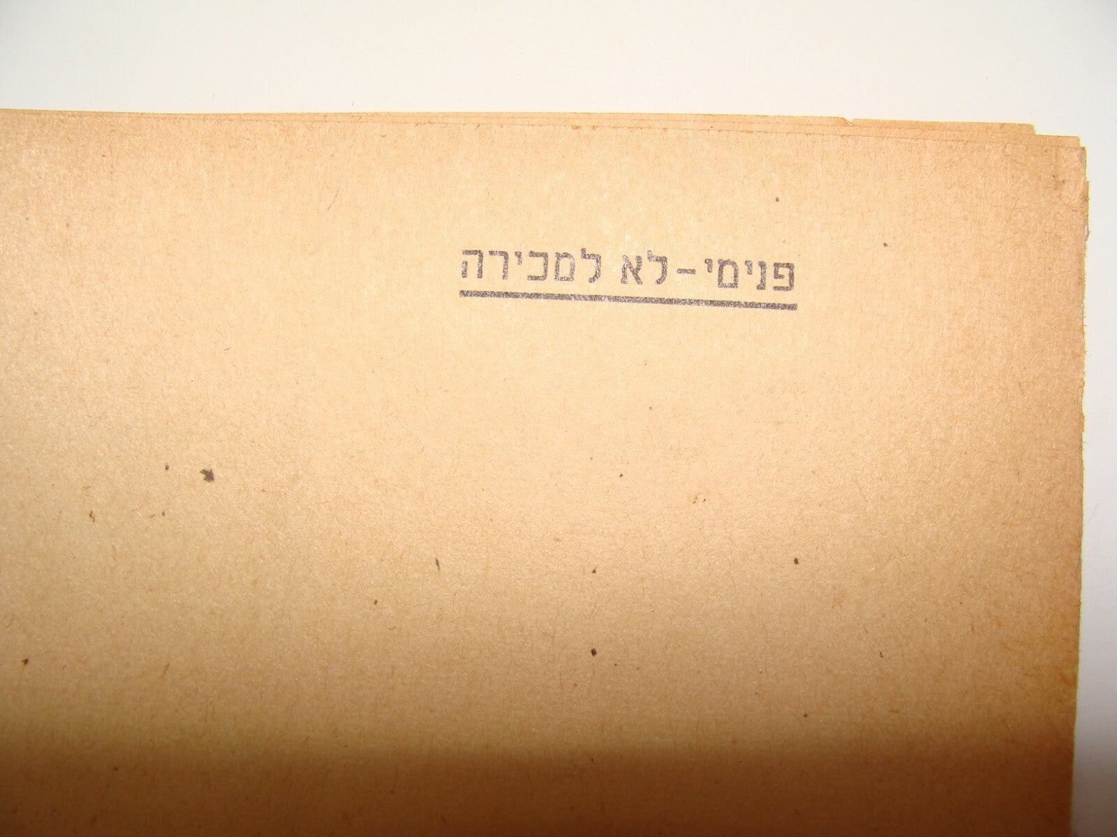 Booklet Palestine RARE David Ben Gurion 1944 Jewish Hebrew Zionist State Israel