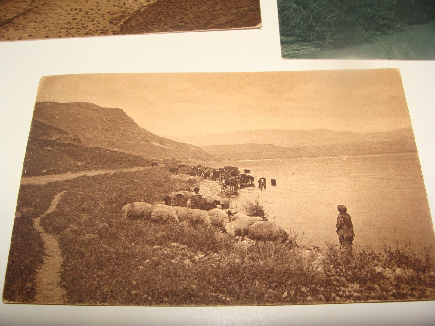 Photo Palestine Card Jewish Judaica Israel 1930s Postcard KINNERET LAKE JORDAN