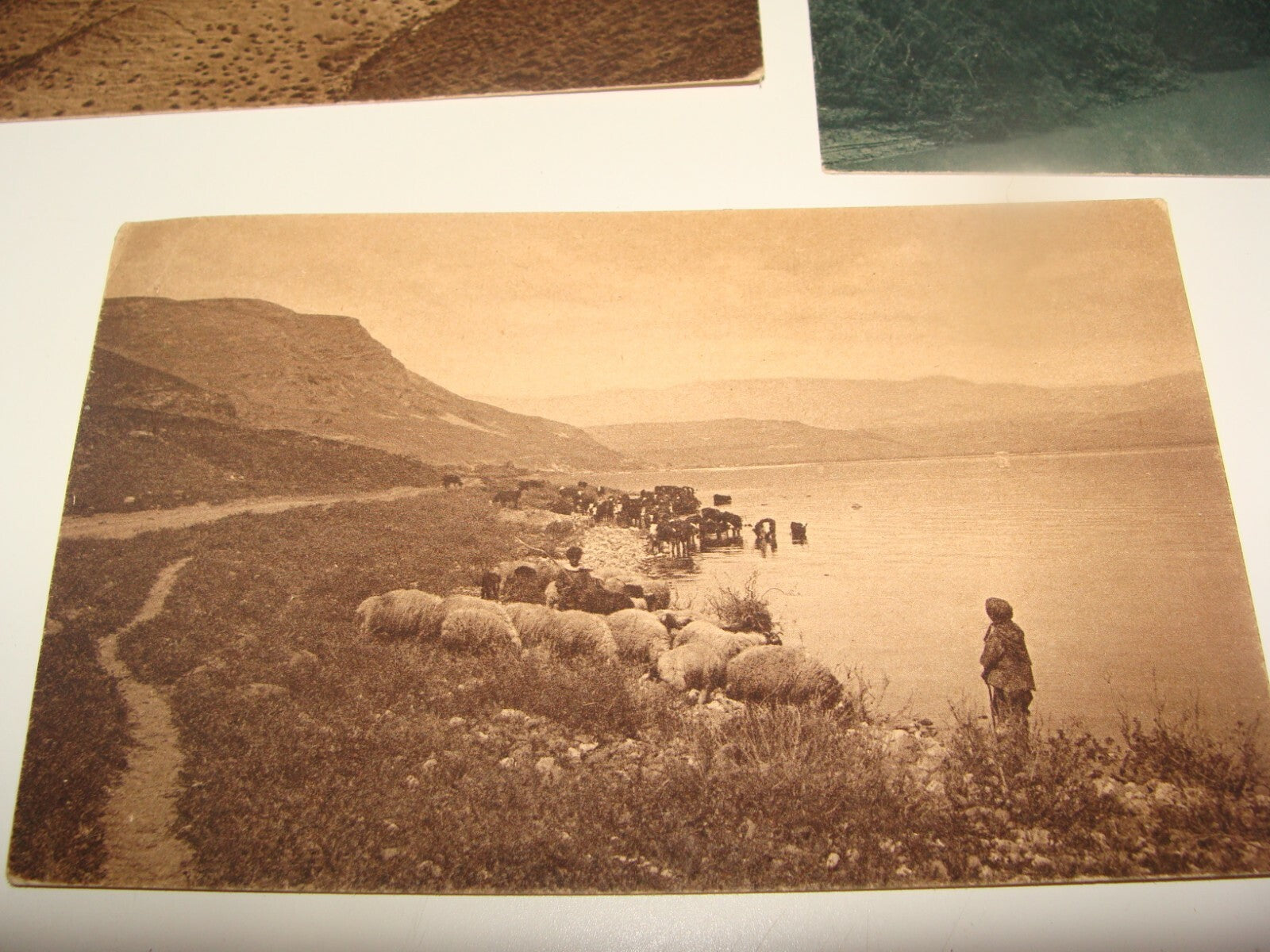 Photo Palestine Card Jewish Judaica Israel 1930s Postcard KINNERET LAKE JORDAN