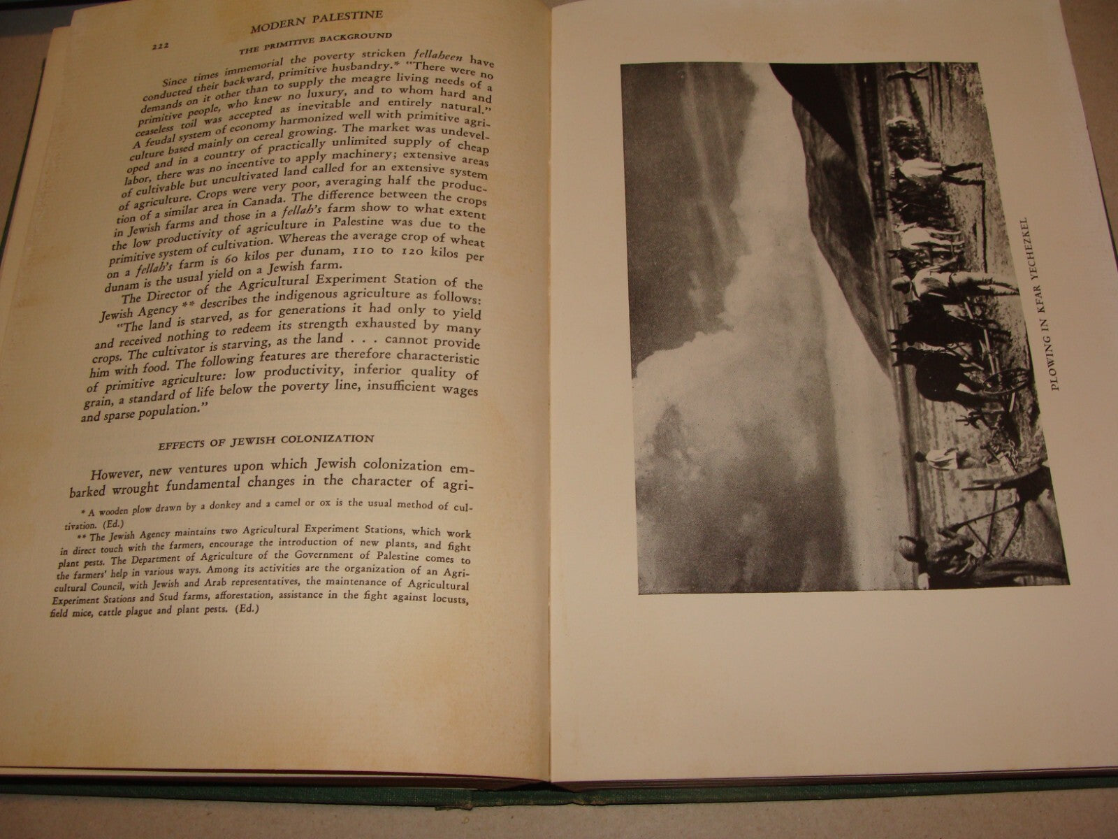 $ Book Jewish American 1933 MODERN PALESTINE Israel Zionist Women HADASSAH