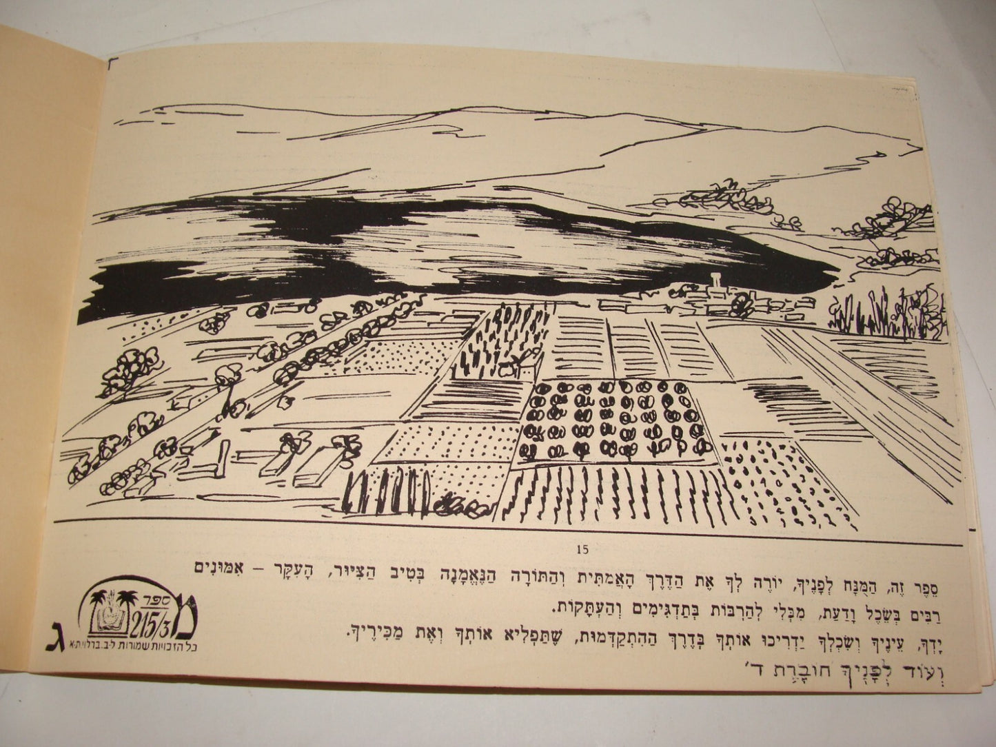 Book Jewish Judaica Israel Israeli Vintage Art Barlevy Drawing Painting Children
