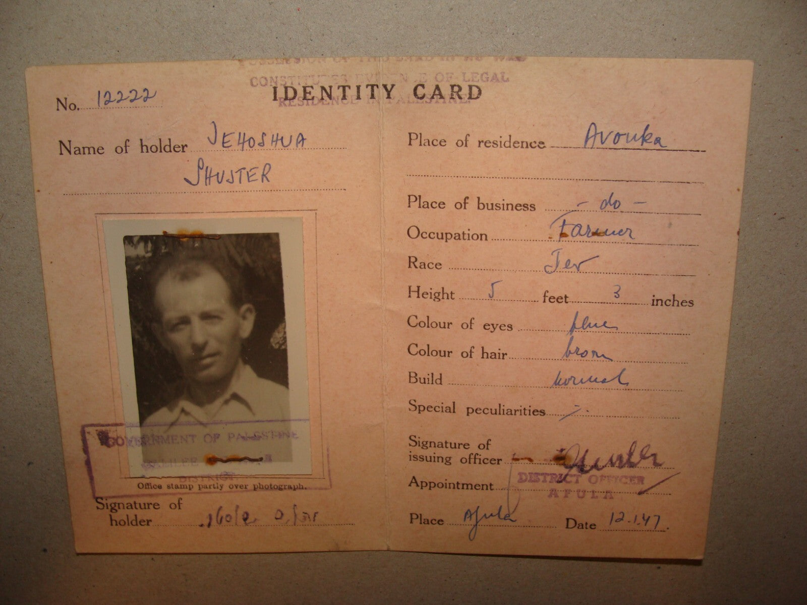 Card Palestine Jewish Judaica 1947 Israel Identity Certificate Afula SHUSTER