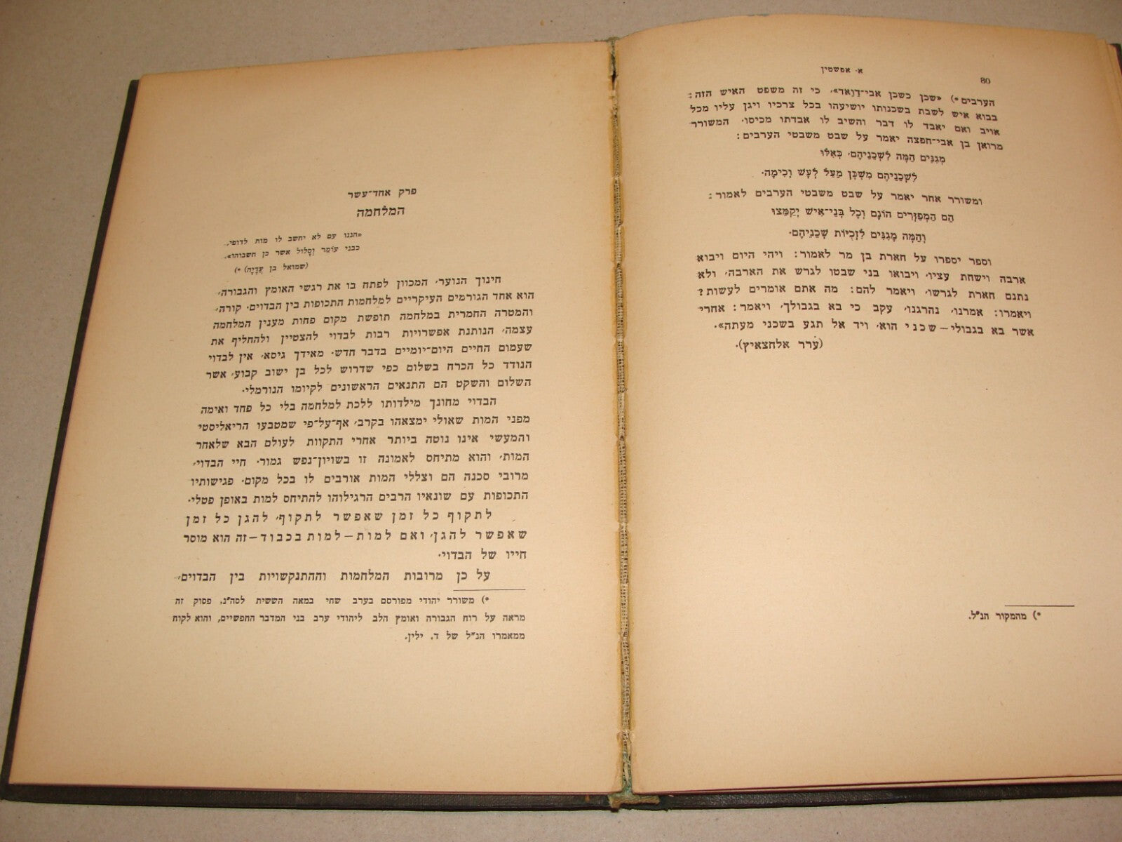 Book Palestine 1933 Israel Hebrew Arab Arabic Bedouin History Culture Folklore