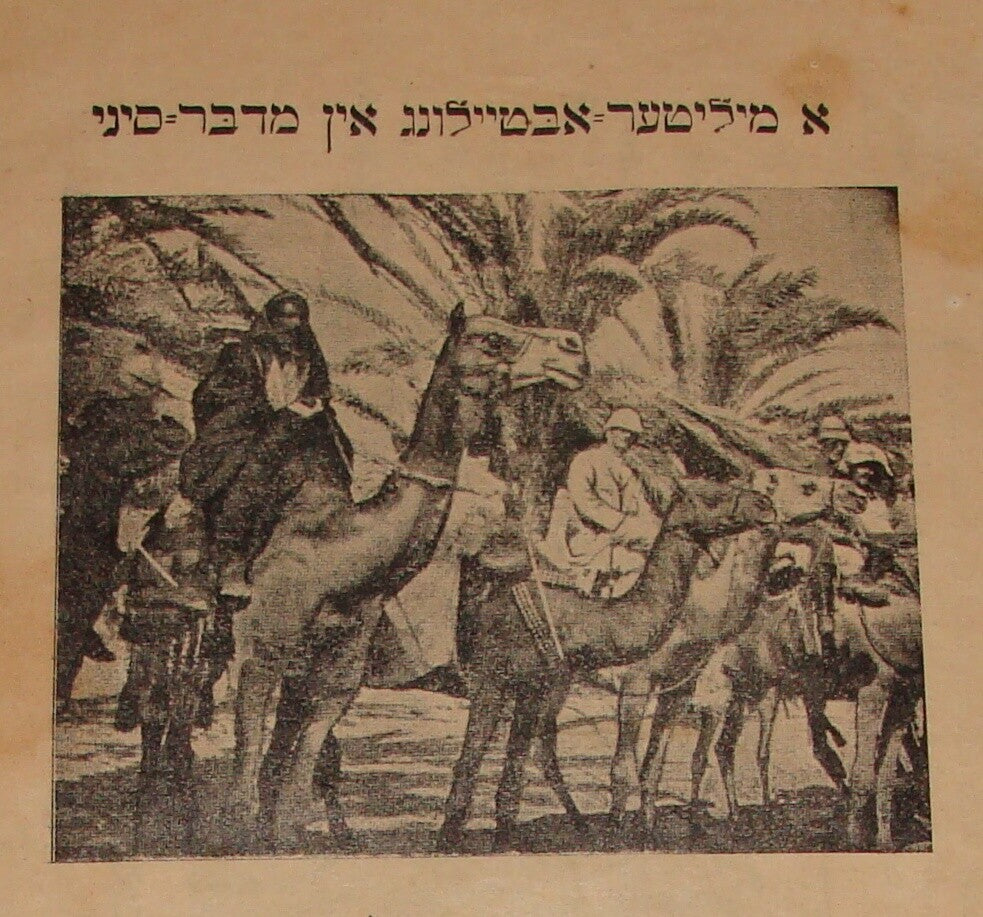 RARE Jewish Judaica ALTNEULAND Yiddish Poland Warsaw Monthly 1919 Zionist PHOTOS