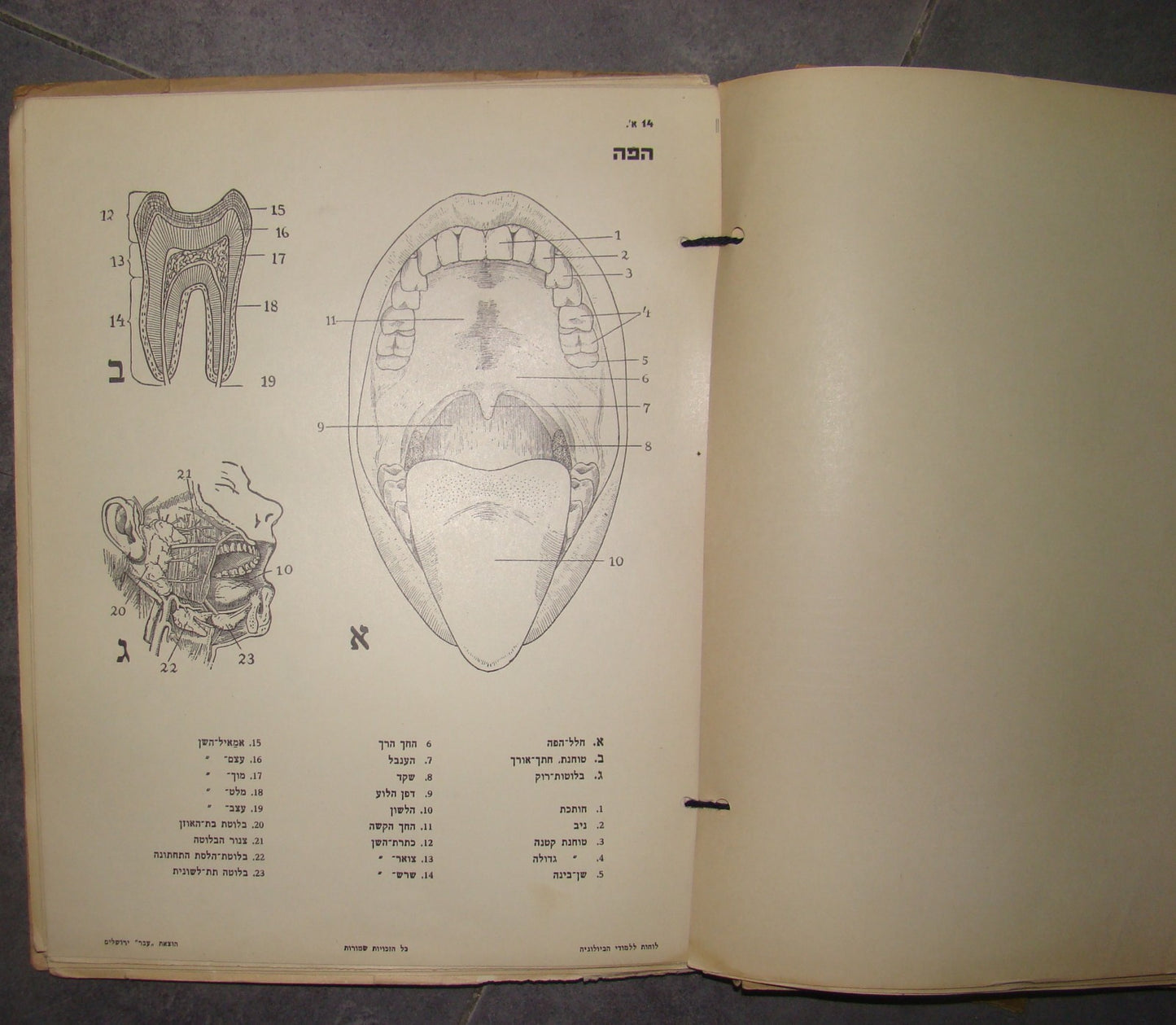 Book Jewish hebrew palestine eretz israel Biology Atlas by Ever Science Zvi Lev