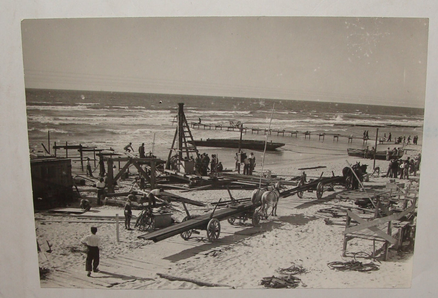Photo Print, 1936 Palestine Israel TEL AVIV Port Workers Jewish Judaica Hebrew