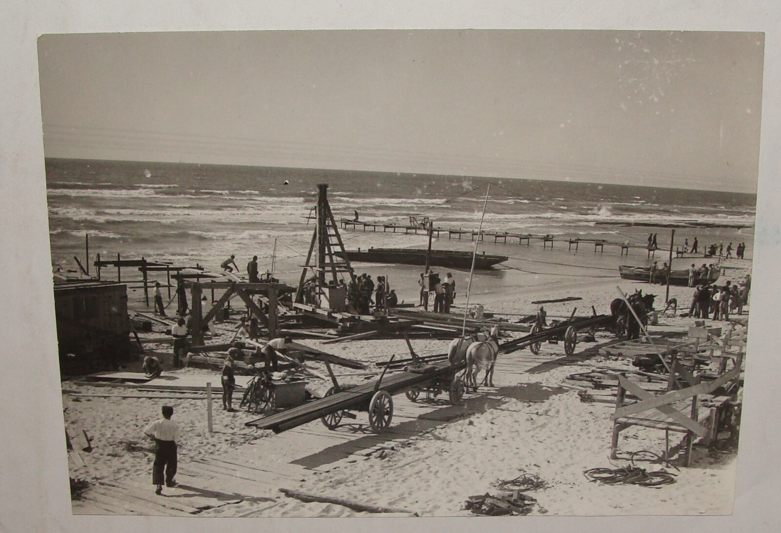 Photo Print, 1936 Palestine Israel TEL AVIV Port Workers Jewish Judaica Hebrew