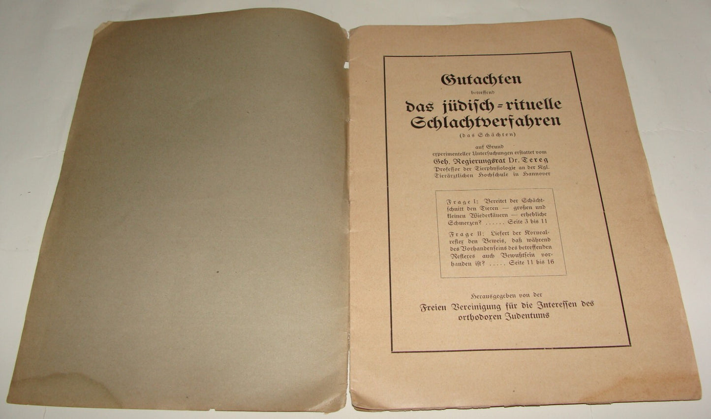 Germany Paper Jewish Judaica Antique 1911 German   Jews Slaughter Kosher Ritual