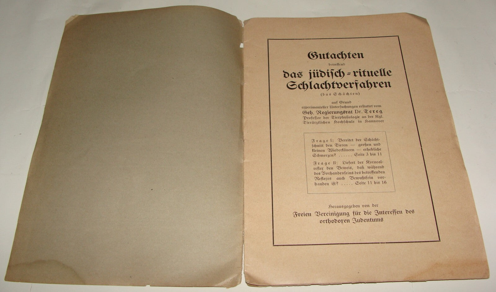 Germany Paper Jewish Judaica Antique 1911 German   Jews Slaughter Kosher Ritual
