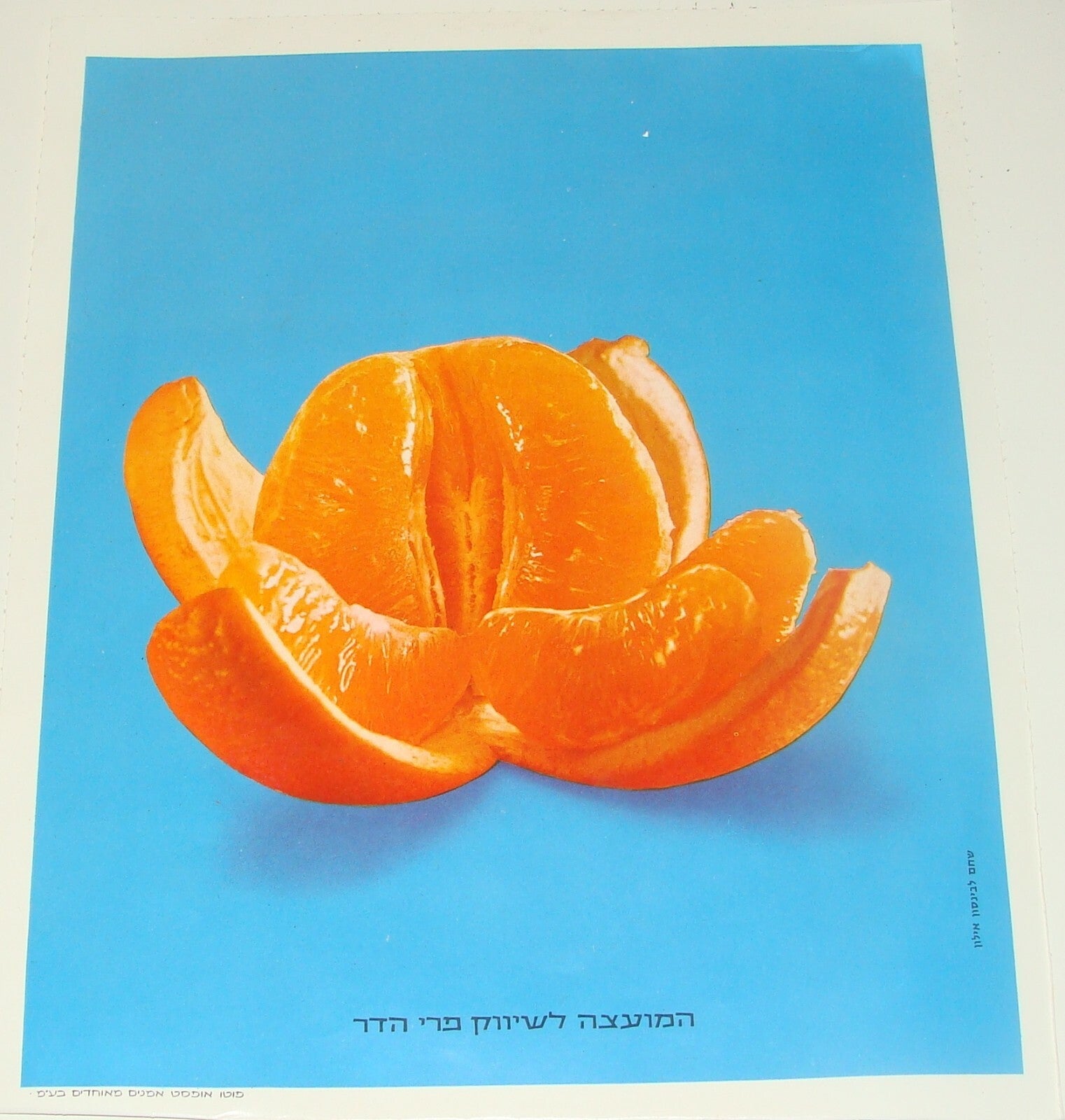 Ad Jewish Hebrew Israel Israeli Vintage Poster Lot Fruit Orange Citrus Zionist