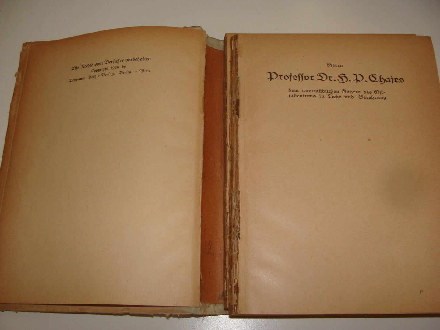 Germany Book Jewish 1920 Judaica German   Hassidic Religious Rabbi