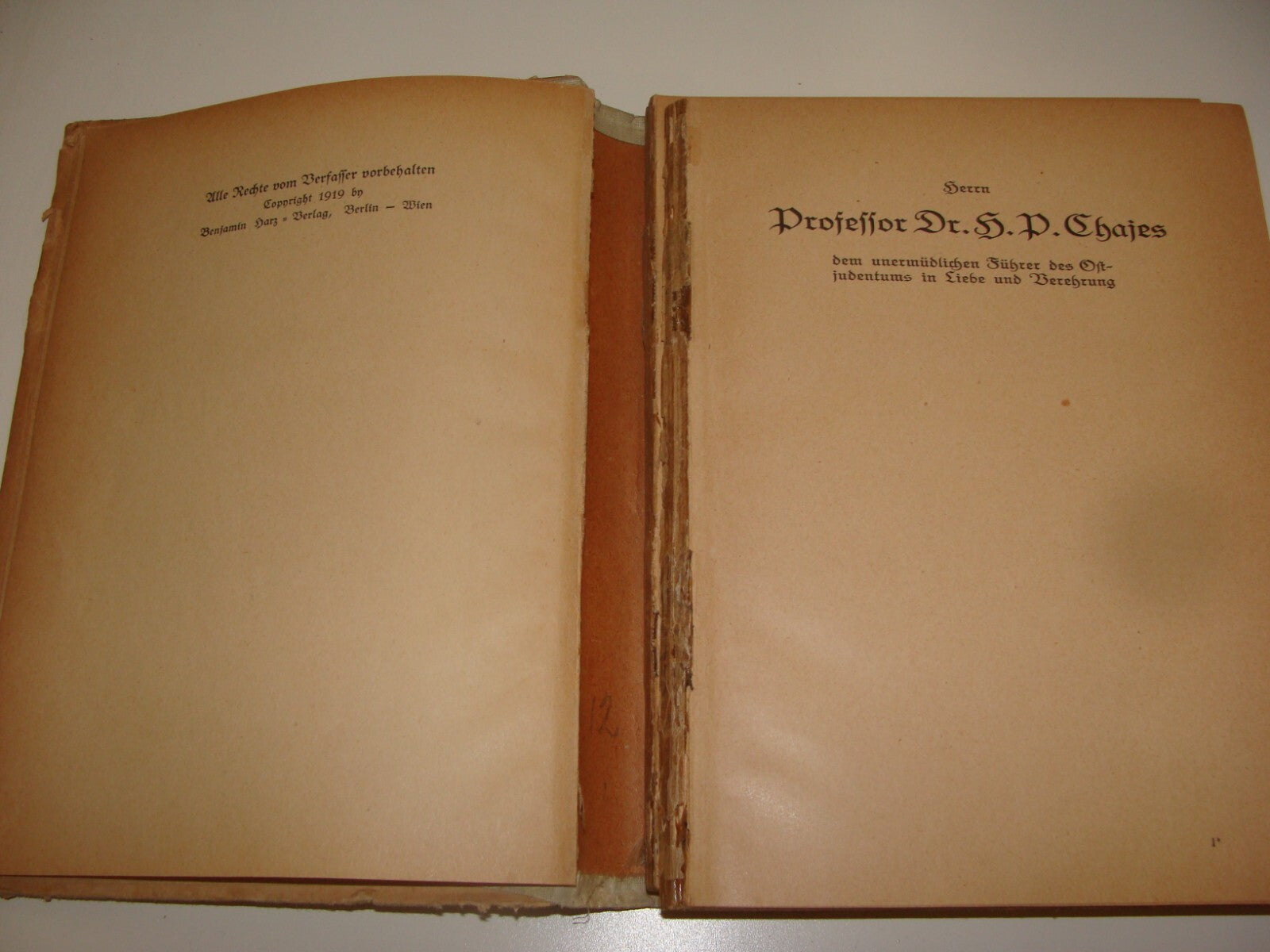 Germany Book Jewish 1920 Judaica German   Hassidic Religious Rabbi