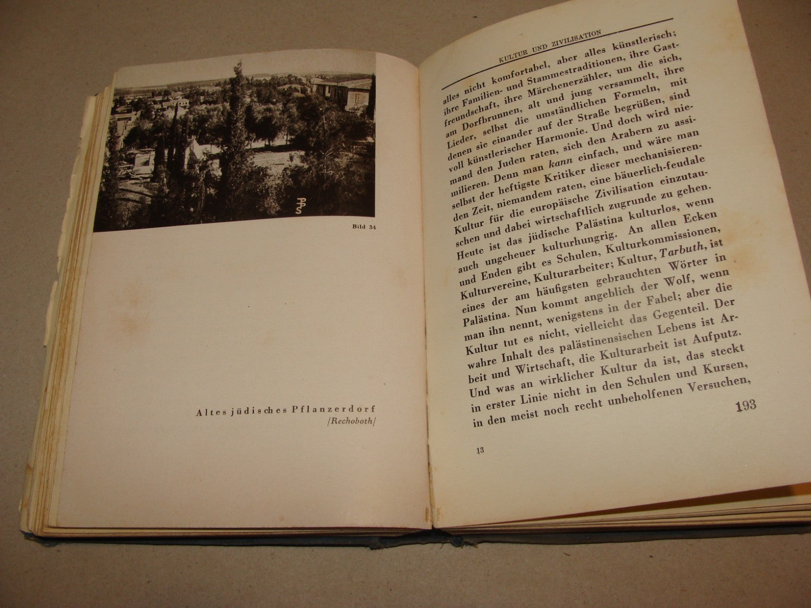 Germany Book Jewish 1933 PALESTINE Israel Hugo Herrmann Zionist Pioneers German