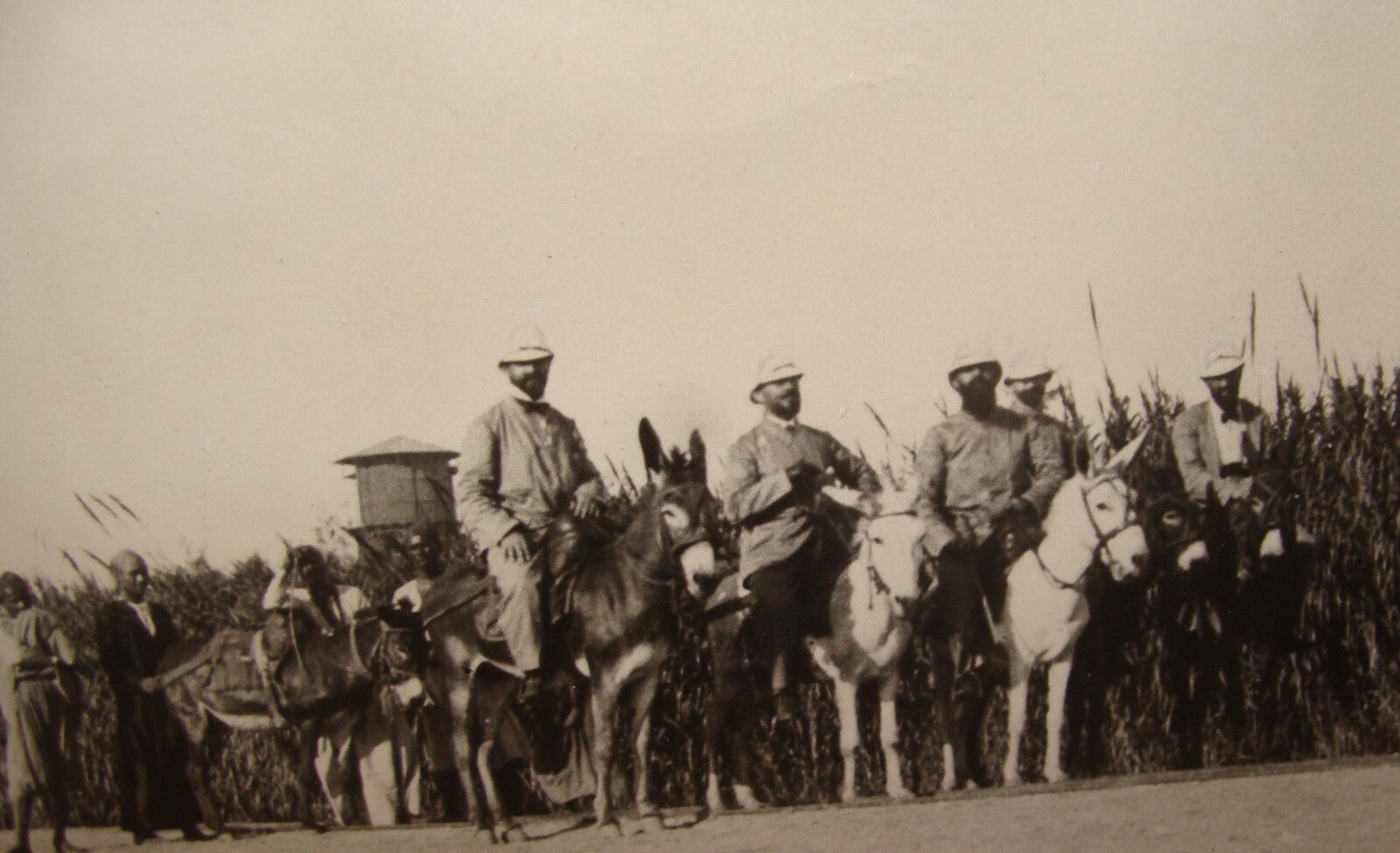 Photo Print Jewish Agency Archives HERZL In Rehovot Judaica Zionist Palestine