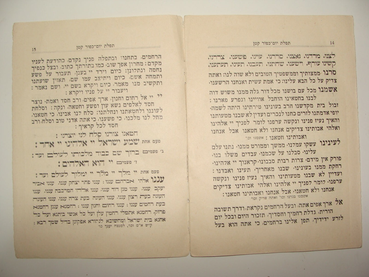 Rabbi Book Jewish Judaica Palestine Israel Jerusalem let Yom Kippur 1929 Prayer