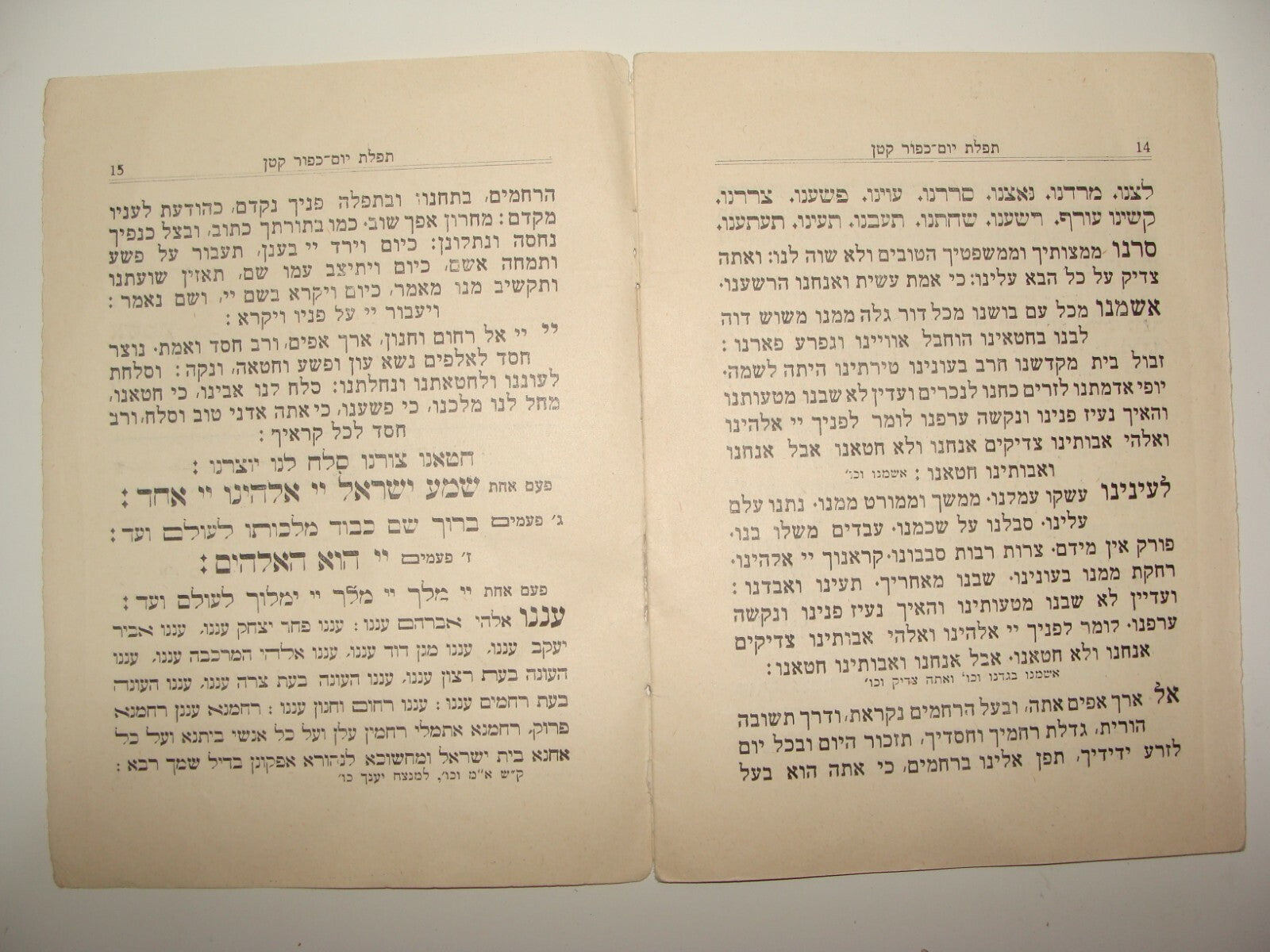 Rabbi Book Jewish Judaica Palestine Israel Jerusalem let Yom Kippur 1929 Prayer
