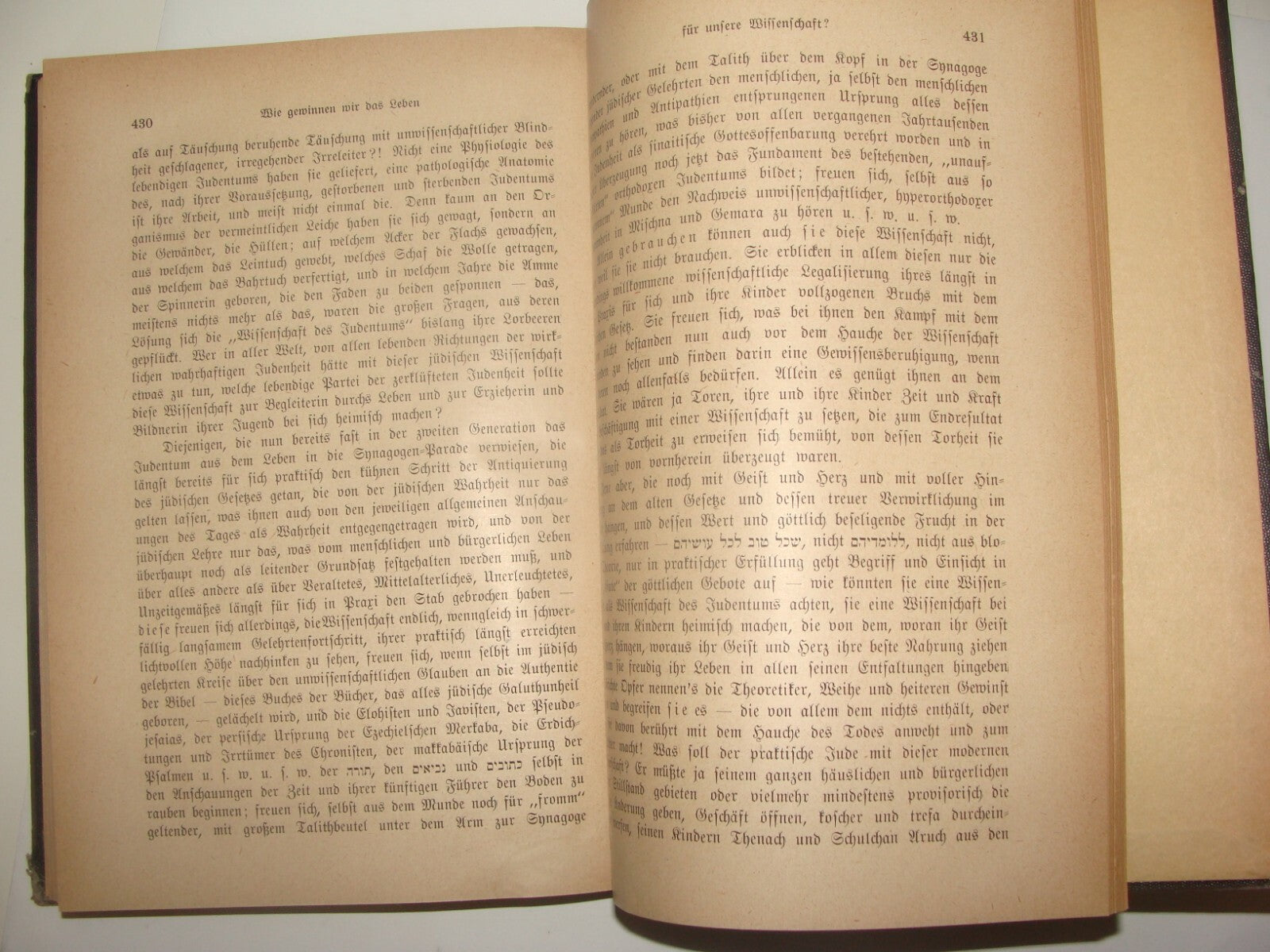 Germany Book Jewish Judaica 1920 Rabinner Samson Raphael Hirsch German רש"ר הירש