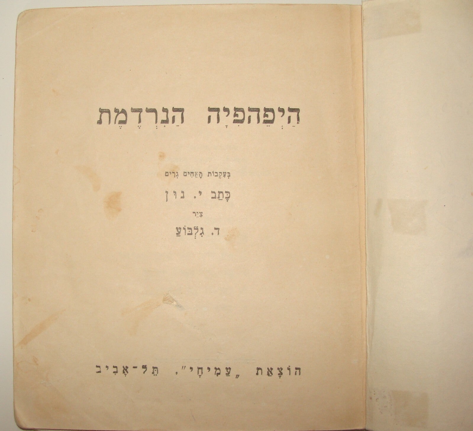 Book Jewish Israel Israeli Kids Children Sleeping Beauty Hebrew Art Color Gilboa