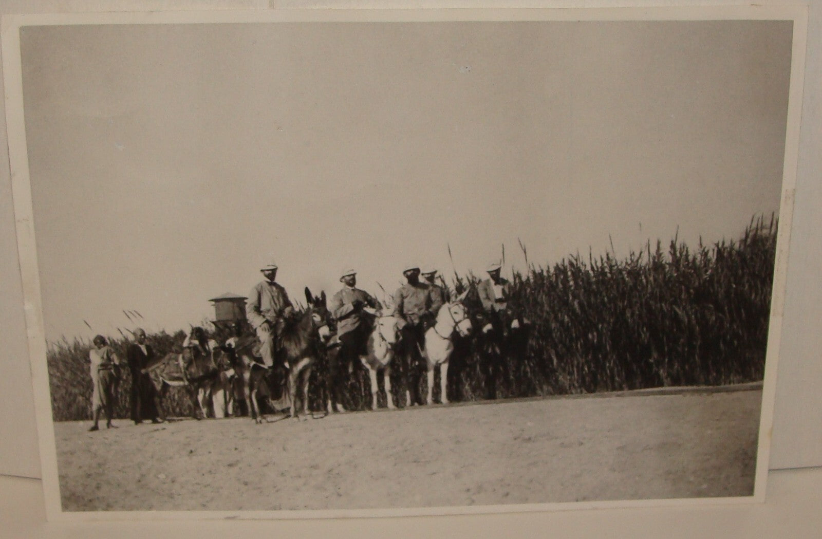Photo Print Jewish Agency Archives HERZL In Rehovot Judaica Zionist Palestine