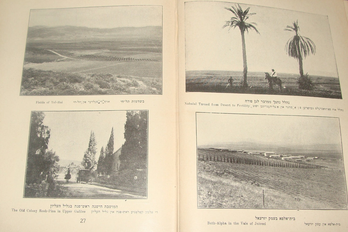 Book Jewish RARE Judaica 1930 Israel Palestine War And Peace Zionist History