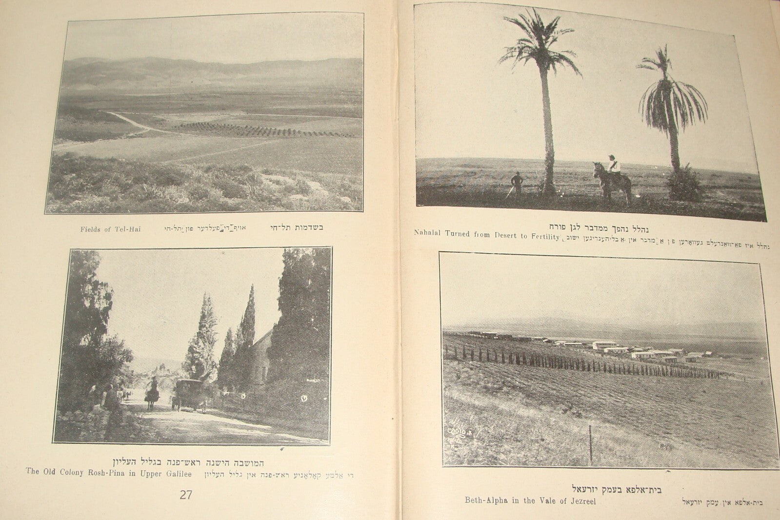 Book Jewish RARE Judaica 1930 Israel Palestine War And Peace Zionist History