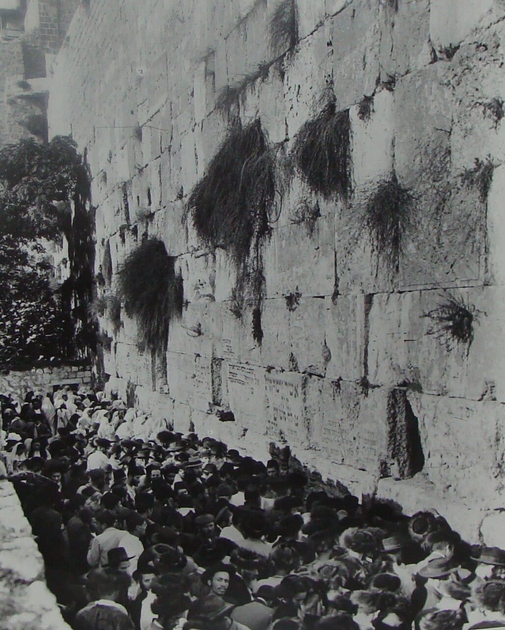 Photo Print, Jewish Judaica Palestine Israel Jerusalem Wailing Western Wall 192?