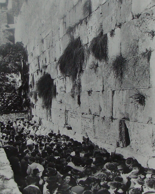 Photo Print, Jewish Judaica Palestine Israel Jerusalem Wailing Western Wall 192?