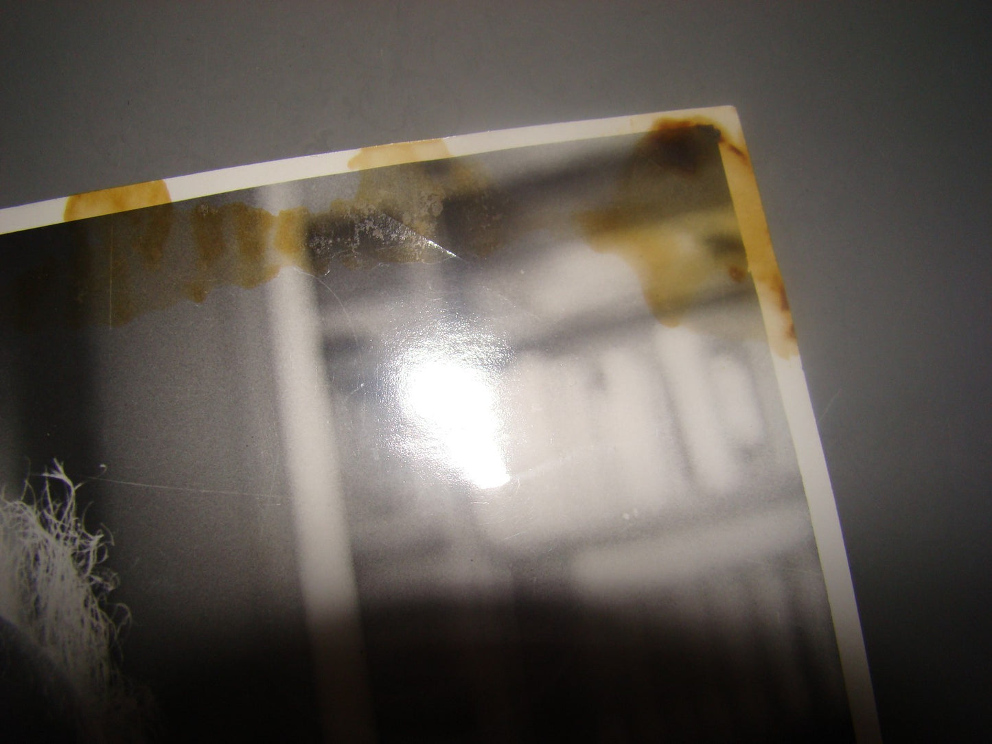 Pol jewish judaica original press photo David Ben Gurion israel 1st prime