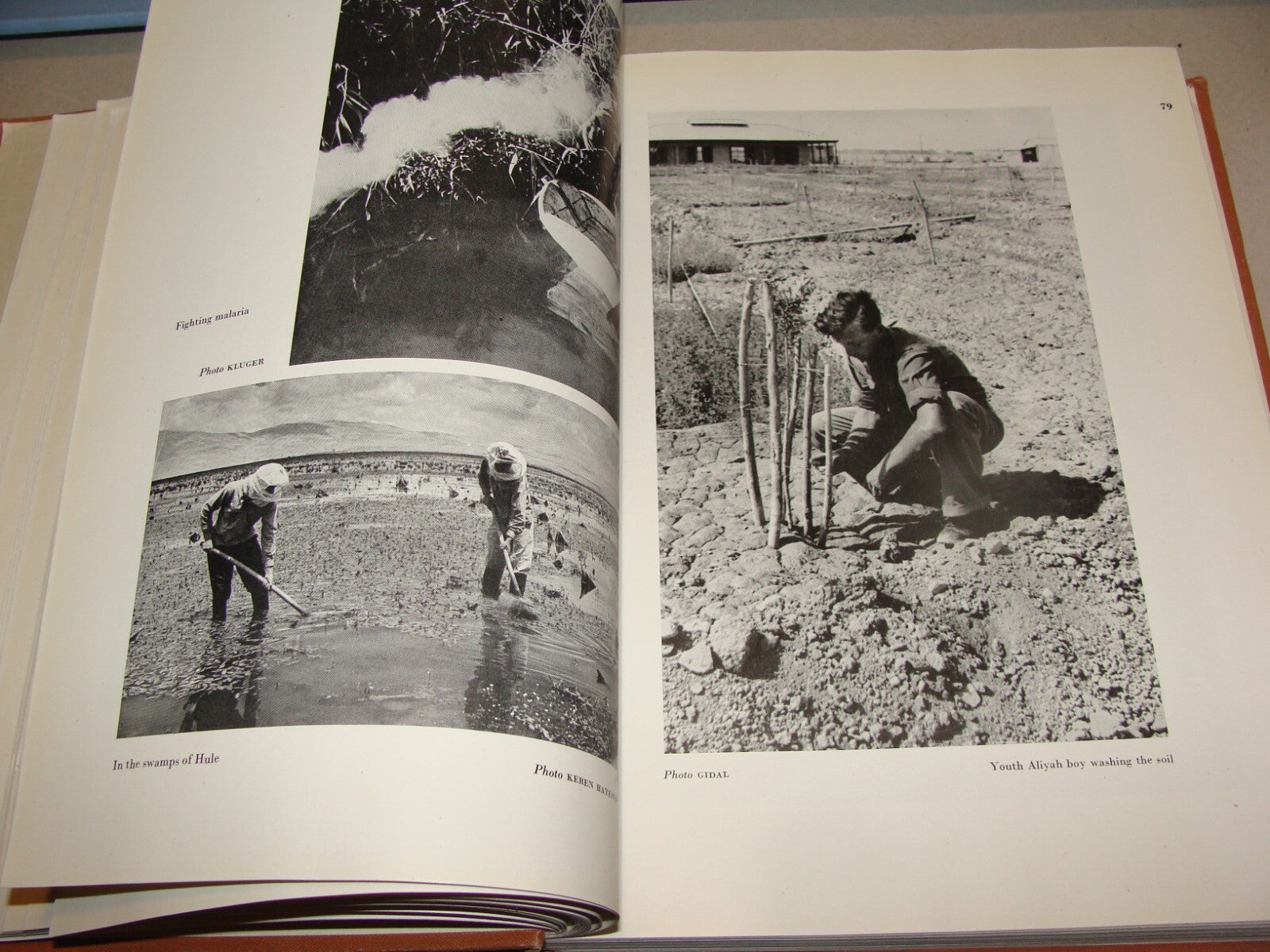 Book Jewish 1946 PALESTINE ECONOMIC FUTURE Book Israel Zionist London Zionism