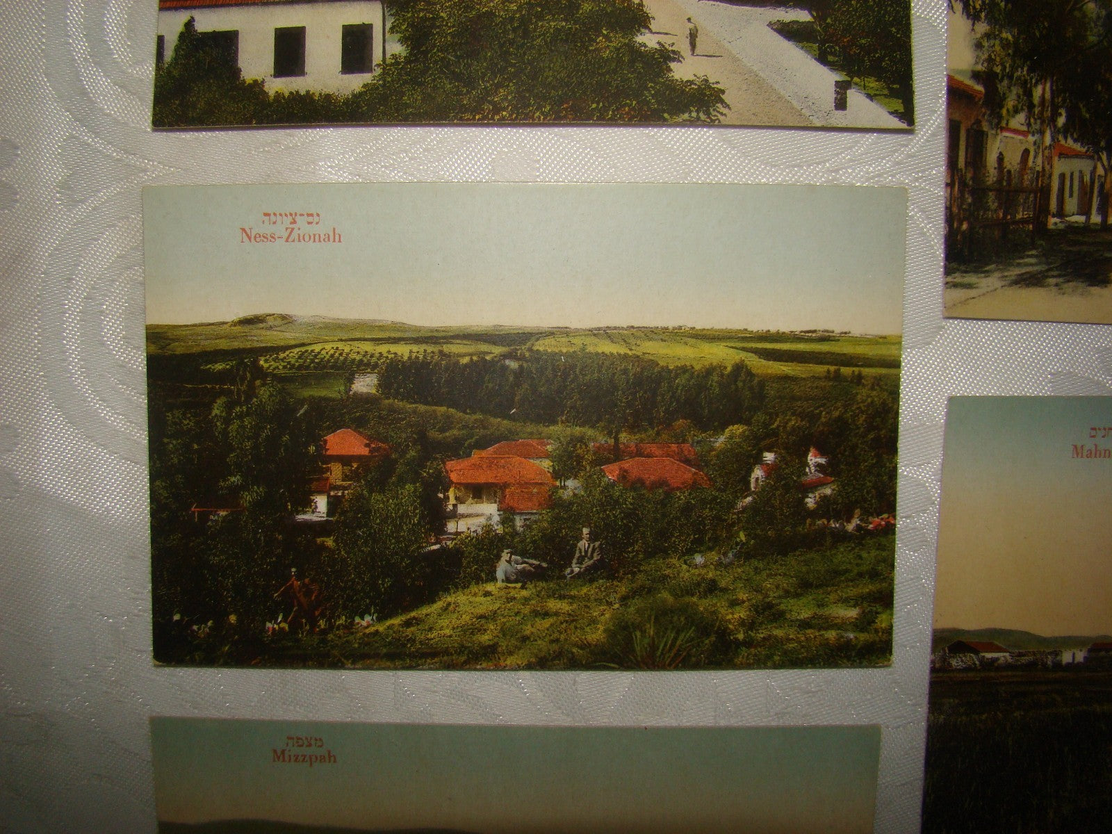 Photo Palestine Card hebrew jewish Israel Moshe Ordmann postcard Kibbutz Moshav