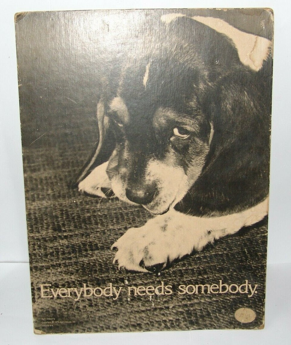 vintage Tom Depping Dog cardboard photo poster sign April House 1973 ad