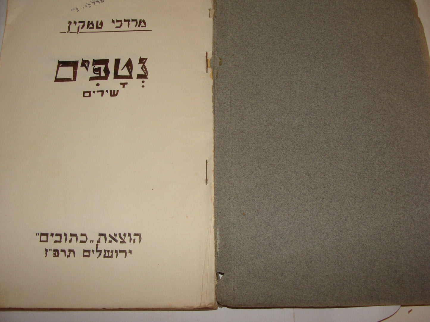 Book Jewish Judaica 1927 Palestine Israel Hebrew Poerty Poems Songs TEMKIN טמקין