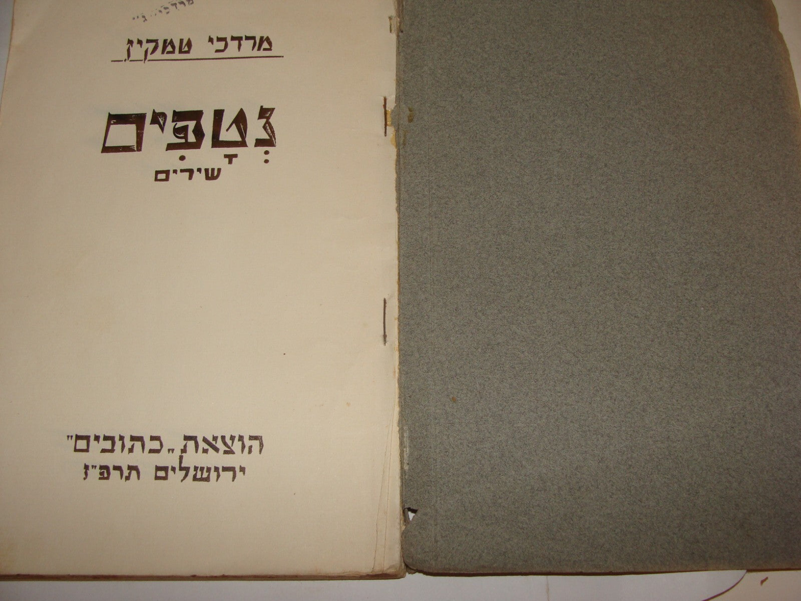 Book Jewish Judaica 1927 Palestine Israel Hebrew Poerty Poems Songs TEMKIN טמקין