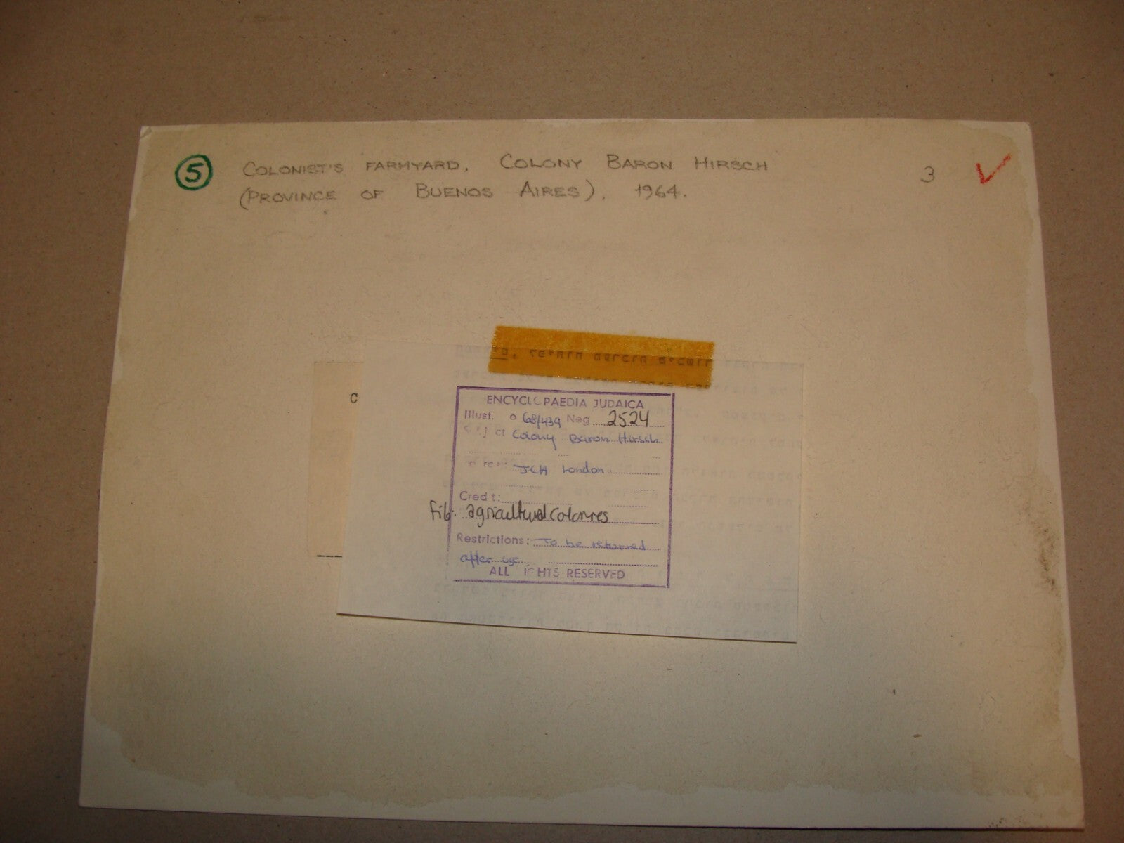 Photo Jewish 1964 Argentina Buenos Aires Colony Baron Hirsch Farm Agriculture