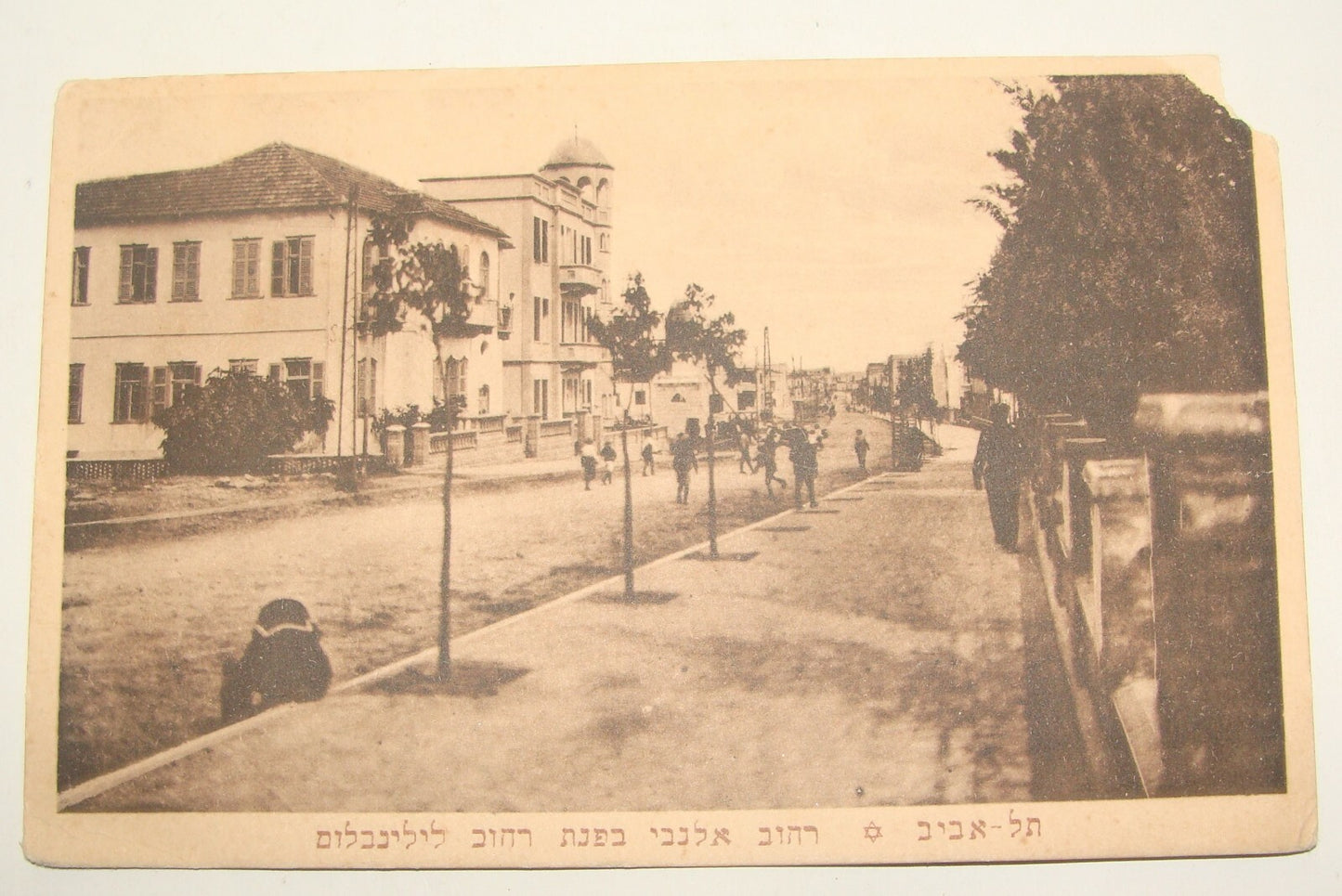 Germany Photo Palestine Card Jewish Judaica Israel Tel Aviv Postcard Hebrew