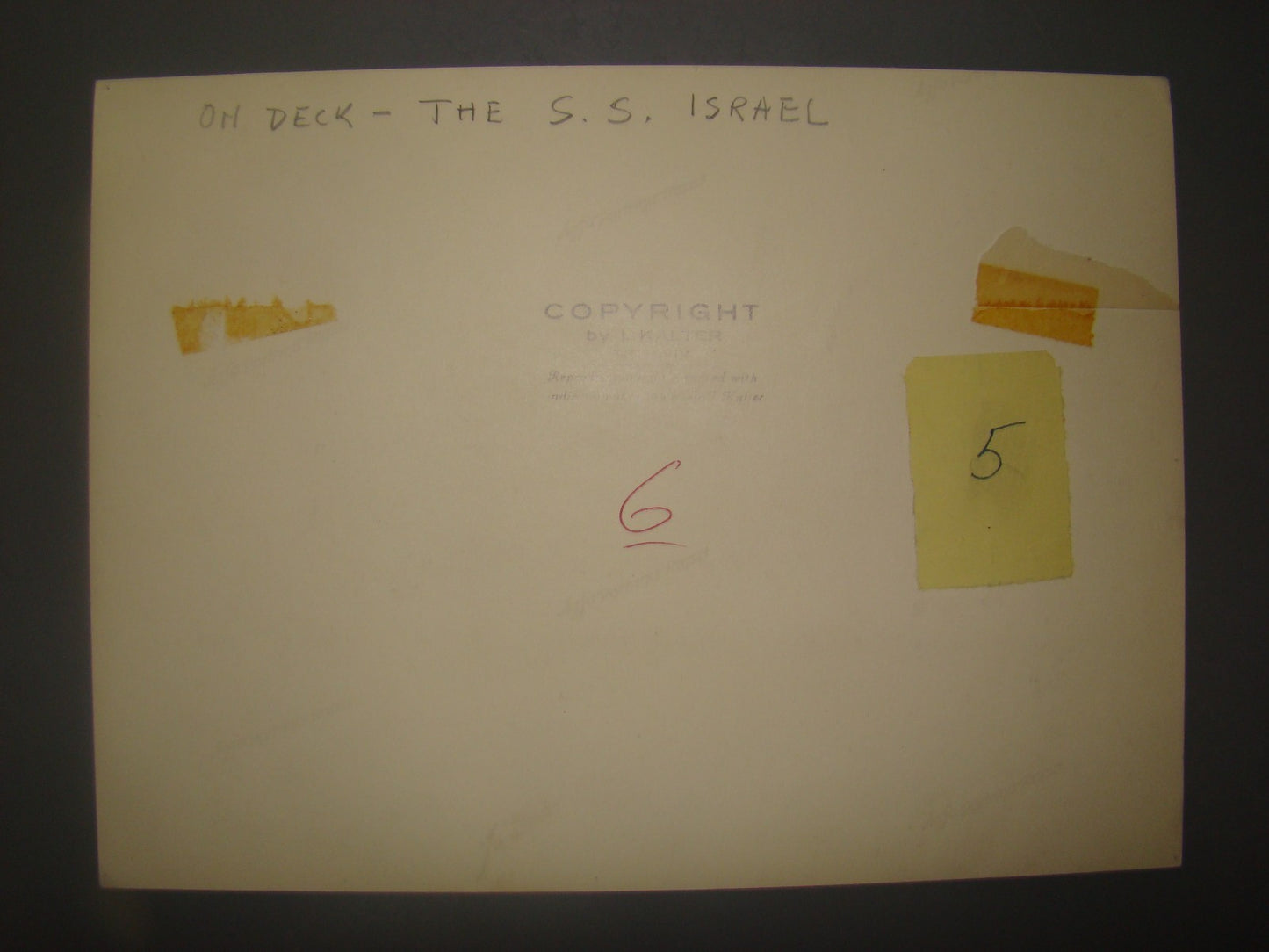 Photo Jewish Vintage Big S.S. Israel ZIM Company 1st Ship Zionist Benor Kalter