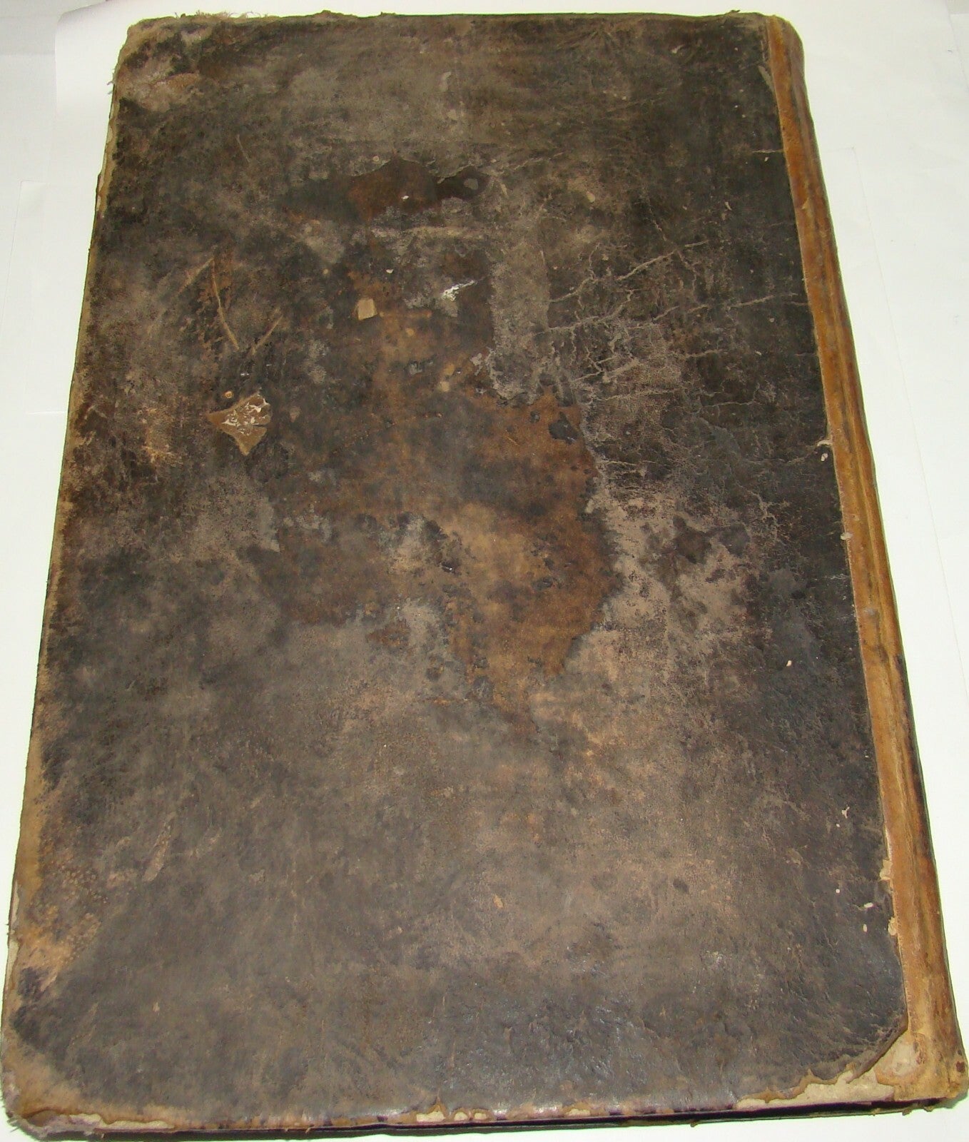 Jewish Judaica Rabbi Wallenstein משה נחום ולנשטיין Signed טור חשן המשפט 1868