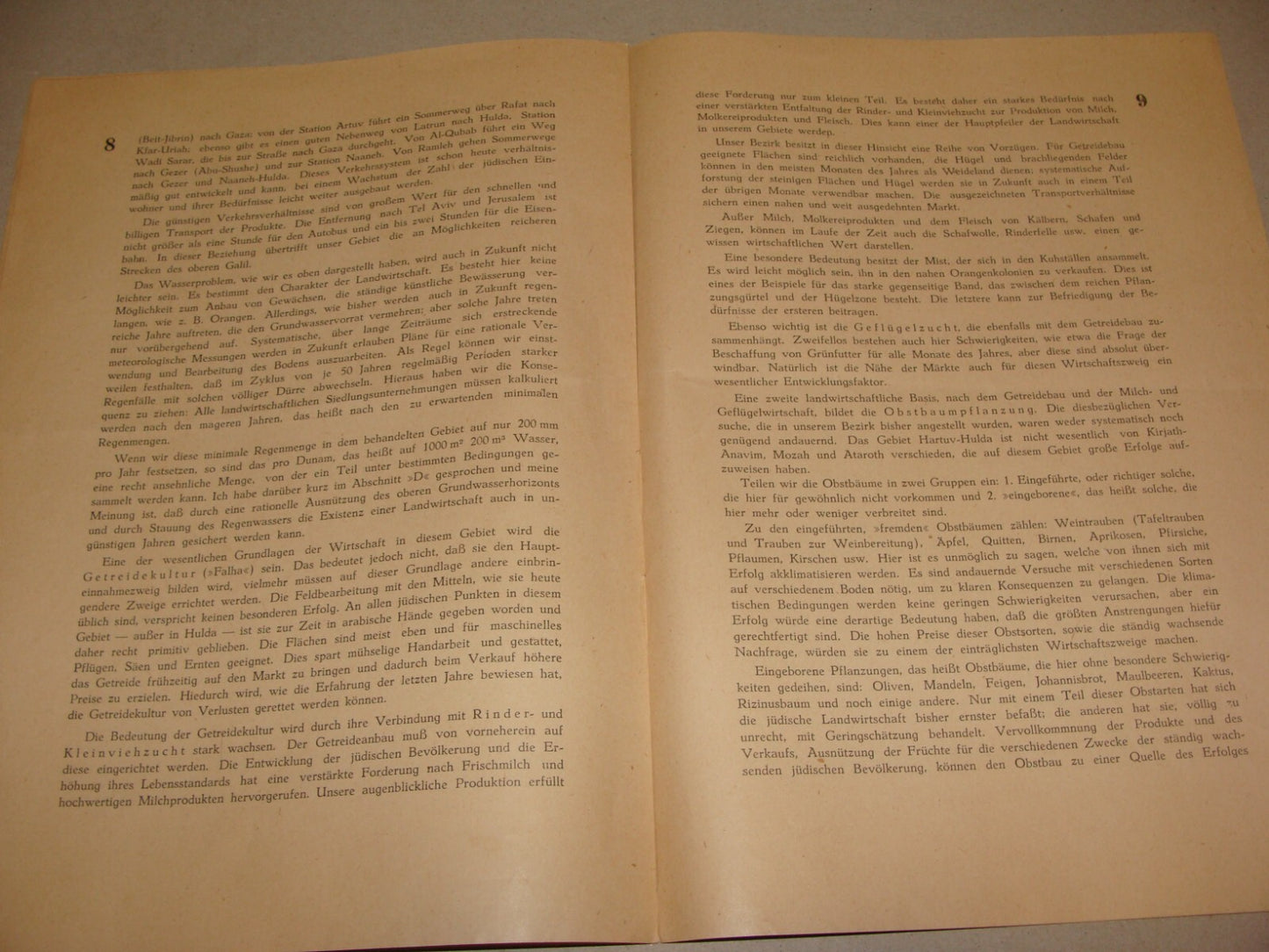 Bulletin Palestine Jewish Judaica 1936 PALASTINA German Israel Zionist