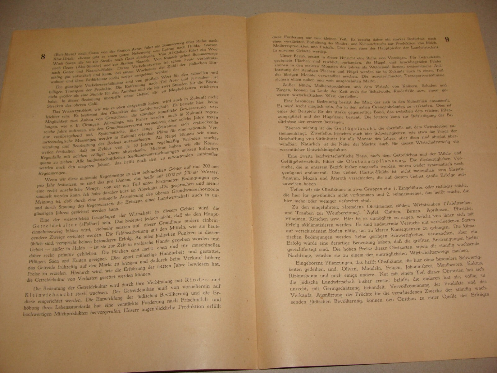 Bulletin Palestine Jewish Judaica 1936 PALASTINA German Israel Zionist