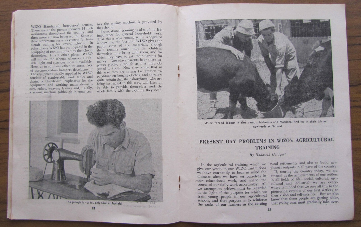 Booklet Palestine Judaica WIZO Zionist Women Org. Review 1948 Jewish State ויצ"ו