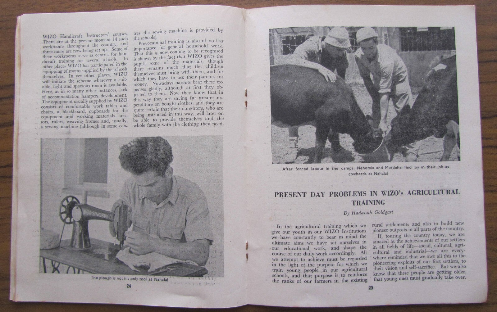 Booklet Palestine Judaica WIZO Zionist Women Org. Review 1948 Jewish State ויצ"ו