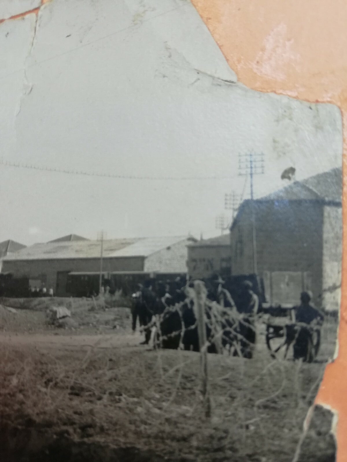 Photo Palestine Jewish Antique 1922 Israel Nesher Taxi Company Hebrew Car Oil