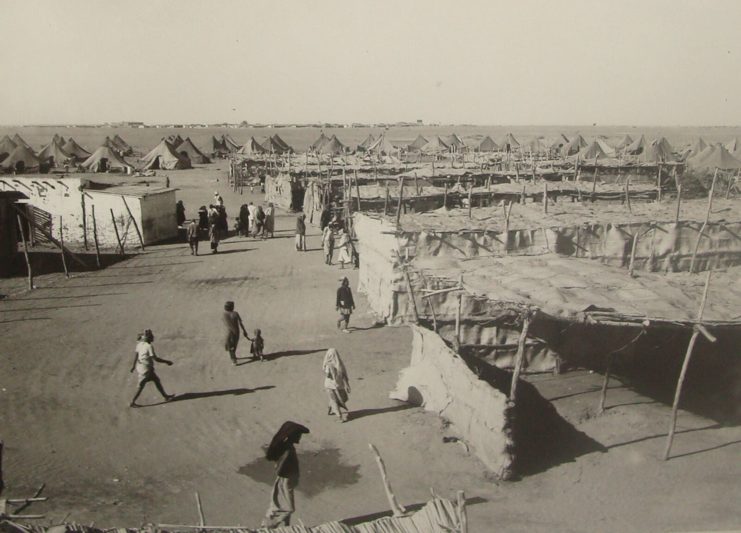Photo Print, Israel Israeli Yemenite Immigrants 1949 Operation Magic Carpet Jews