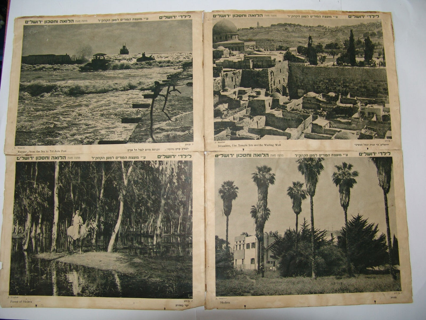 Photo Palestine Ad Jewish israel israeli Jerusalem Hadera Tel Aviv JNF KKL