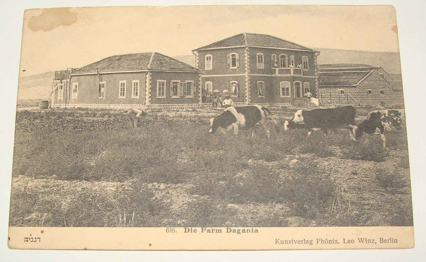 Photo Palestine Card Jewish Judaica Israel Kibbutz DEGANIA Berlin Leo Winz