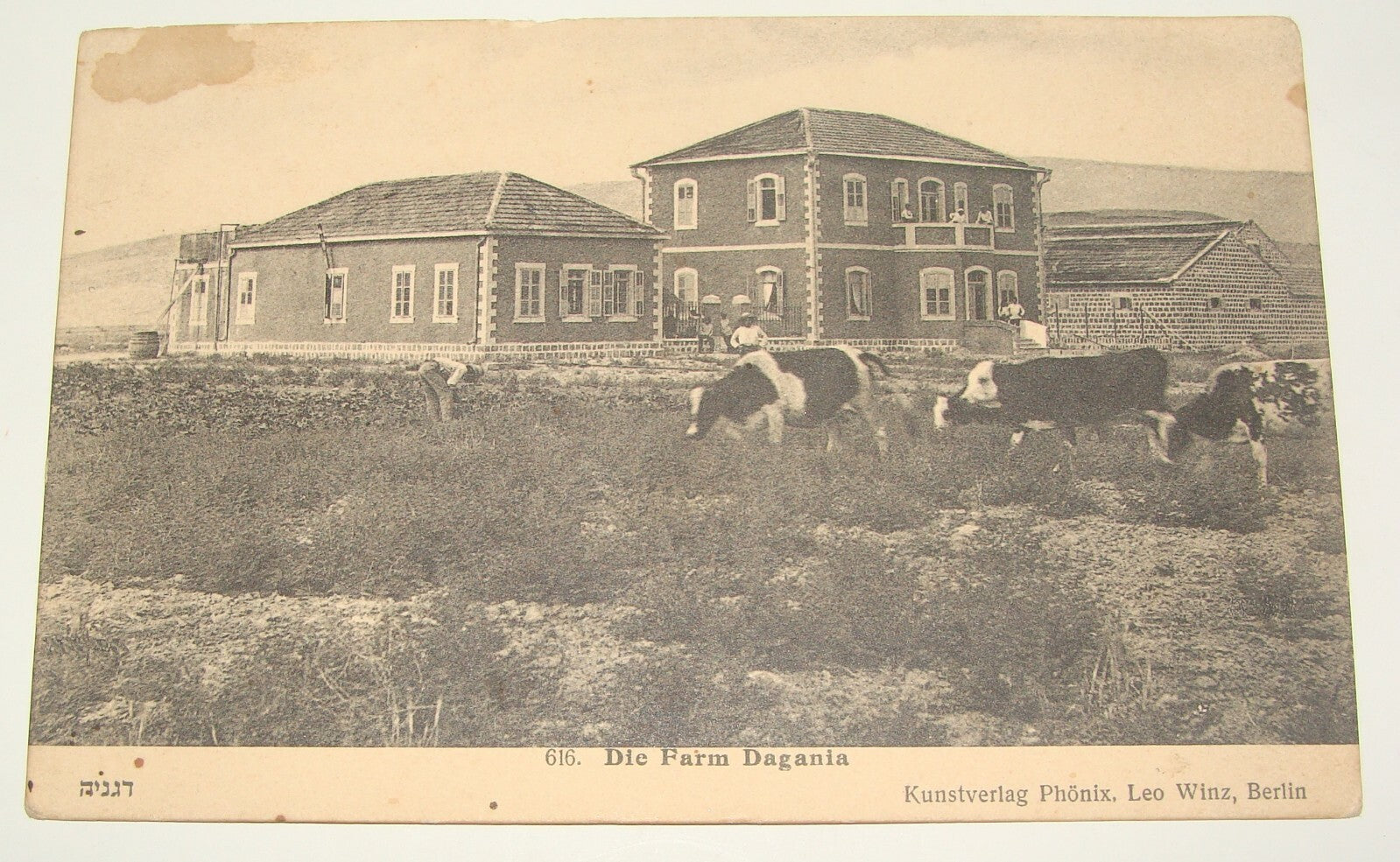 Photo Palestine Card Jewish Judaica Israel Kibbutz DEGANIA Berlin Leo Winz